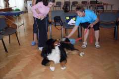 2014-spala-turnus-dogoterapia-009