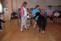 2014-spala-turnus-dogoterapia-010