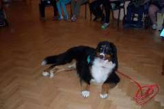 2014-spala-turnus-dogoterapia-022