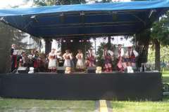 2011-05-15-obchody-swiatowego-dnia-MPS-017