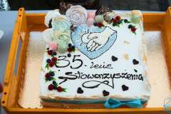 wygoda-2025-bal-przebierancow-065