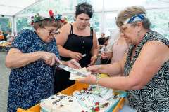 wygoda-2025-bal-przebierancow-068