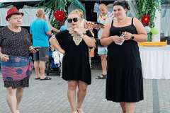 wygoda-2025-bal-przebierancow-143