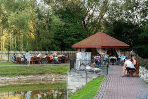 2025 Turnus rehabilitacyjno - wypoczynkowy Wygoda -  grill