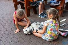 wygoda-2025-grill-013