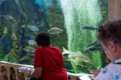 wygoda-2025-wycieczka-po-okolicy-011