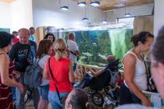 wygoda-2025-wycieczka-po-okolicy-013