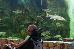 wygoda-2025-wycieczka-po-okolicy-014