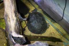 wygoda-2025-wycieczka-po-okolicy-018