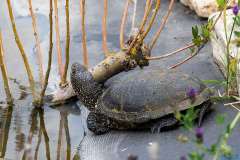 wygoda-2025-wycieczka-po-okolicy-025