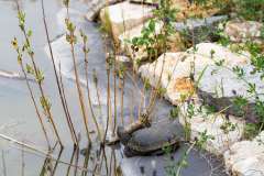 wygoda-2025-wycieczka-po-okolicy-026