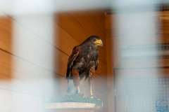 wygoda-2025-wycieczka-po-okolicy-034