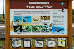 wygoda-2025-wycieczka-po-okolicy-039