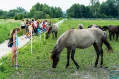 wygoda-2025-wycieczka-po-okolicy-054