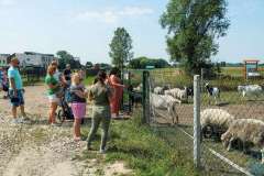 wygoda-2025-wycieczka-po-okolicy-066