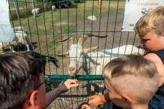 wygoda-2025-wycieczka-po-okolicy-068