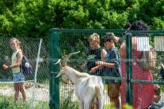 wygoda-2025-wycieczka-po-okolicy-069