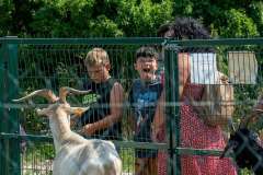 wygoda-2025-wycieczka-po-okolicy-070